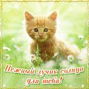 ���� @Alla@, ������ - ��������� 22 ��� 2016 � ������ �������� ��������