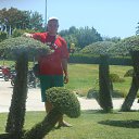  , , 32  -  1  2016   