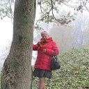 ���� ����, ������, 62 ���� - ��������� 31 ���� 2016 � ������ ���� ����������