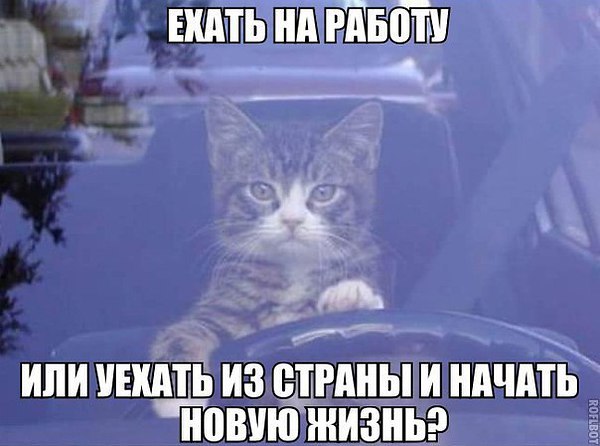  - 10  2016  22:21