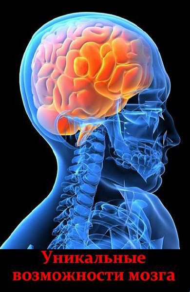   .(Unique features of the brain)     ...