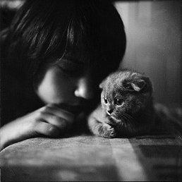 �������, ������, 31 ���