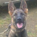 ���� �������, ��������, 53 ���� - ��������� 6 �������� 2016