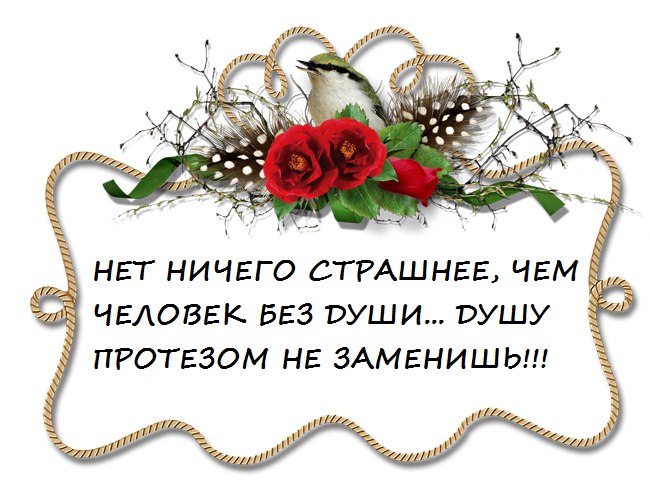  - 24  2016  19:11