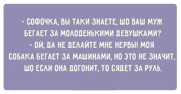   - 12  2016  16:24