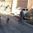 ���� ����, �������, 51 ��� - ��������� 27 ��� 2016 � ������ ���� ����������