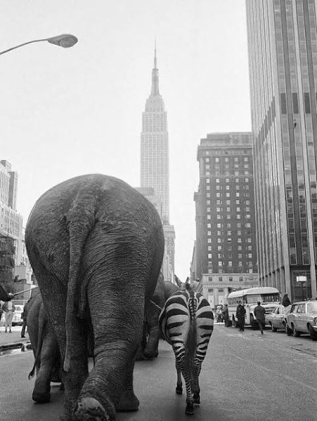 -, 1968