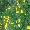 ���� ��������, ��������, 68 ��� - ��������� 17 ���� 2016 � ������ ������Ż