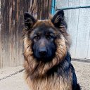 ���� ��������, ���������, 48 ��� - ��������� 25 ��� 2016 � ������ ���� ����������