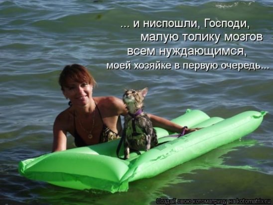 ***Victoria Viktorovna*** - 3  2016  19:49