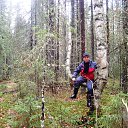 ���� ������, �����, 65 ��� - ��������� 2 �������� 2016 � ������ ������ �������� 2015�.�