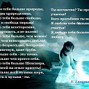 ���� ����������, ��������, 39 ��� - ��������� 29 ������ 2016 � ������ ������ ��������