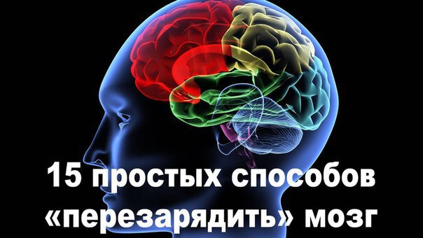 15 простых способов «перезарядить» мозг.Ваш мозг, как самая современная машина, контролирует каждое ...