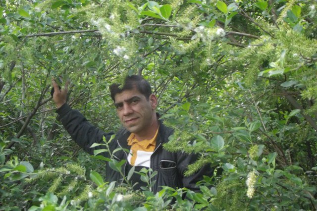 Tural - 1  2016  17:15