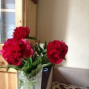 ���� Irinoushka, ������ - ��������� 21 ���� 2016 � ������ ���� ����������