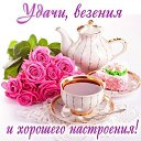 ���� �����, ������ ��� - ��������� 1 �������� 2016 � ������ ������ ��������