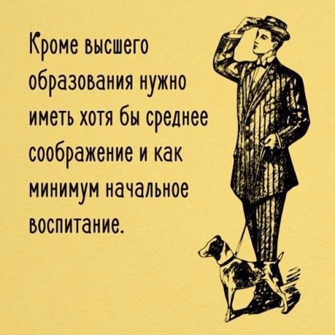  | ,  - 22  2016  12:58