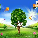 ���� ������, ��������, 49 ��� - ��������� 22 ��� 2016 � ������ �������� �������-�������