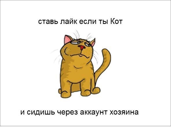    - 17  2016  03:13