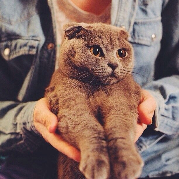  :3