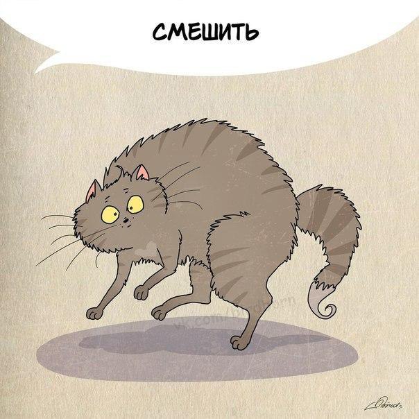     : - 6