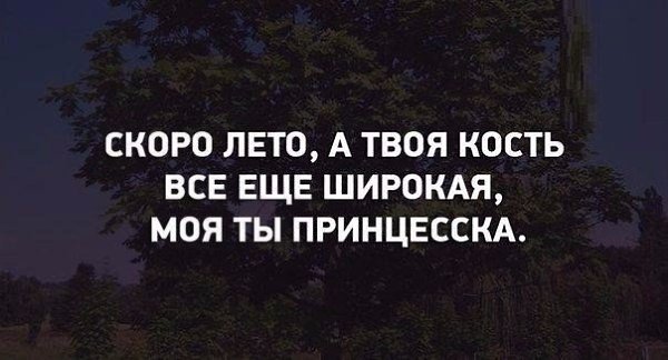 SportFeed - 18  2016  12:16