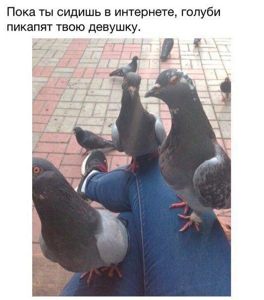    - 10  2016  00:11