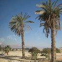 ���� ��������, �������������� - ��������� 17 ���� 2016 � ������ �������� 2016 - �� !!!�