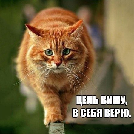  -  - 11  2016  18:20