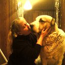 ���� �������, ������� - ��������� 8 ���� 2016 � ������ ������