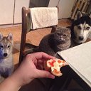 ��������: ��� ��������� �������...))) �� ������� ���� �� �������� �� �������������