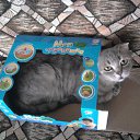 ���� ���, ����-���������, 50 ��� - ��������� 16 ����� 2016 � ������ ���� ����������