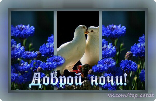 ....Ищите в жизни позитив, Умейте радоваться счастью, Тогда все ставки перекрыв, Ложатся карты ...