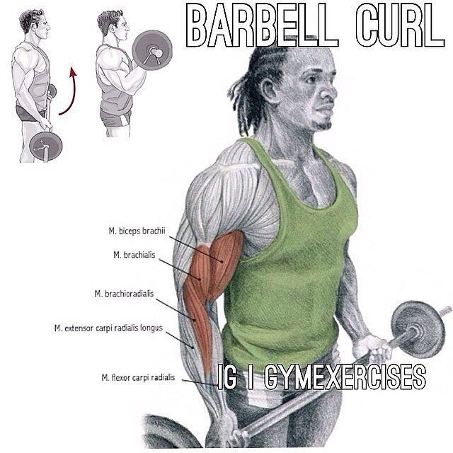  . #SPORT_@sports_is_life - 2