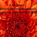 ���� ��������, ������������, 44 ���� - ��������� 21 ������� 2016 � ������ ���� ����������