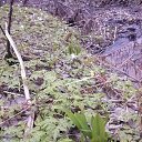 ���� �������, ����������, 50 ��� - ��������� 9 ��� 2016 � ������ ������ �� ��������!!!�