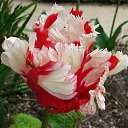 ���� ������., �������� - ��������� 23 ������ 2016 � ������ �����������.....!�