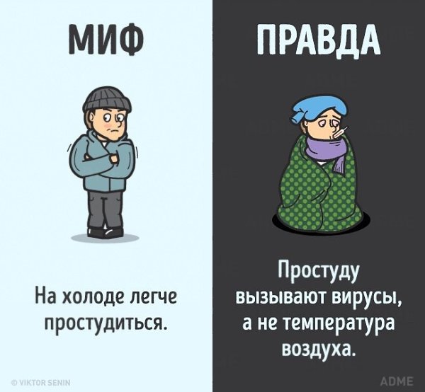 10 мифов о человеческом теле, которые пора забыть. - 6