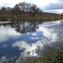 ���� �����, �������, 71 ��� - ��������� 3 ���� 2016 � ������ ������ ��������