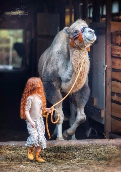    .#fineArt@https://fotostrana.ru/away?to=/sl/XE2 - 4