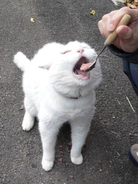     ....:3