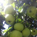 ���� �����, ������� - ��������� 18 ������� 2016 � ������ ���������� ������