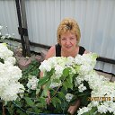 ���� �����, �����, 64 ���� - ��������� 26 ���� 2016 � ������ ���� ����������