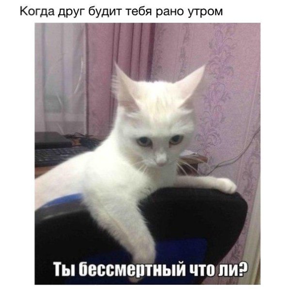 Кто рано встает... ... ... . тот, зараза, всех бесит, хлопает дверями, гремит чайником и ходит как ...
