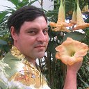 ���� ������, ���������, 53 ���� - ��������� 10 ������ 2016 � ������ ���� ����������