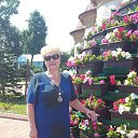 02.07.2016 �� ������� ���� ����������