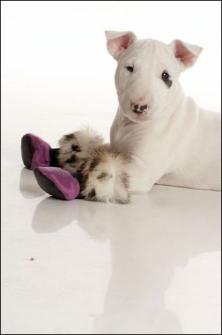 Уважаемые участники группы!)).Всем хорошего настроения в Буле-Городке))) Очень надеемся что в нашей ...