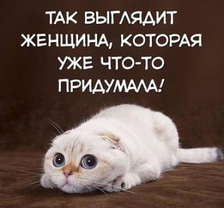  - 7  2016  16:13
