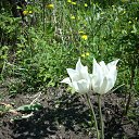 ���� ���������� - 1 ����� ������� �� ������� ���� ����������