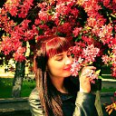 ���� ��������, ������� - ��������� 22 ��� 2016 � ������ ���� ����������